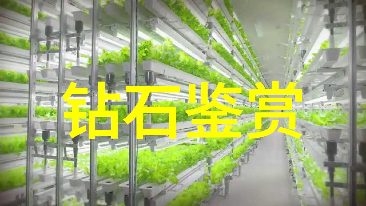 时间的秘密工厂背后的理由