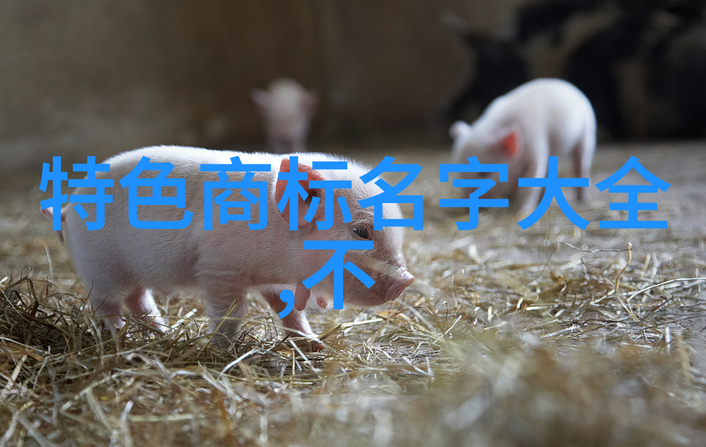 工艺品的魅力手工艺品如何成为生活中的美好装饰