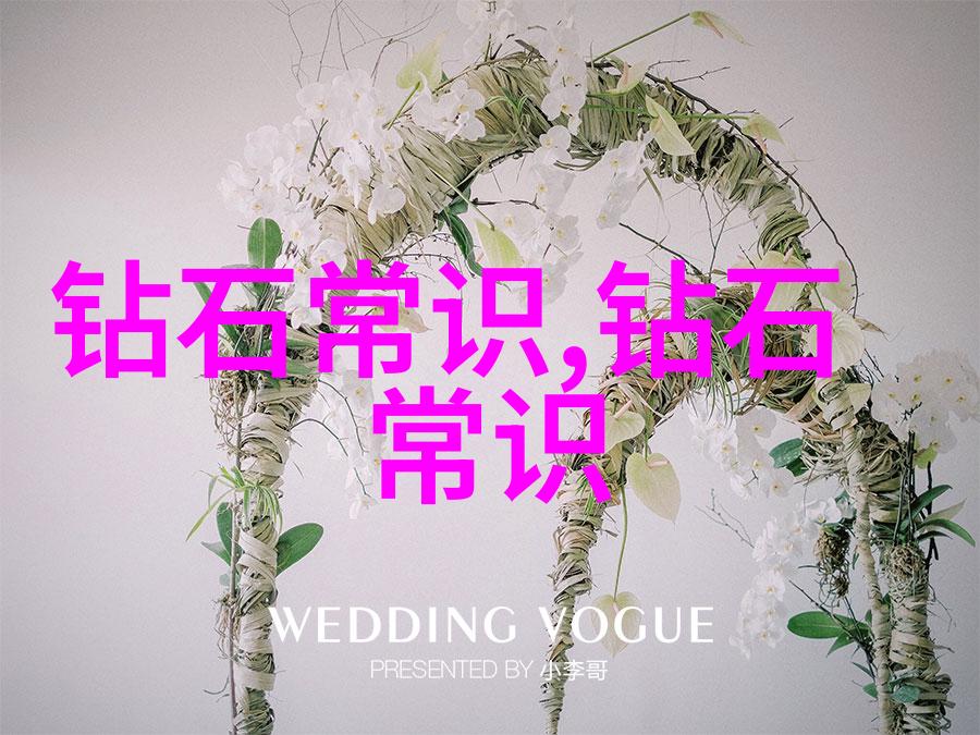 构建好的专业专注持续学习与创新融合的艺术