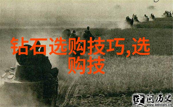 传统文化探秘揭秘中华五千年的瑰宝与智慧