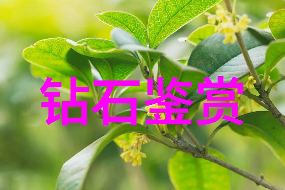 翡翠鉴定技巧揭秘真假难题