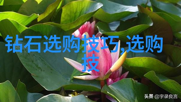 墨翠6000