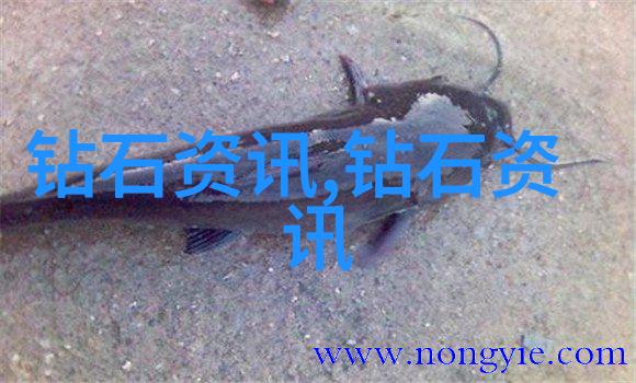 请教为什么我买的祖母绿戒指在家放了几天出现裂纹了