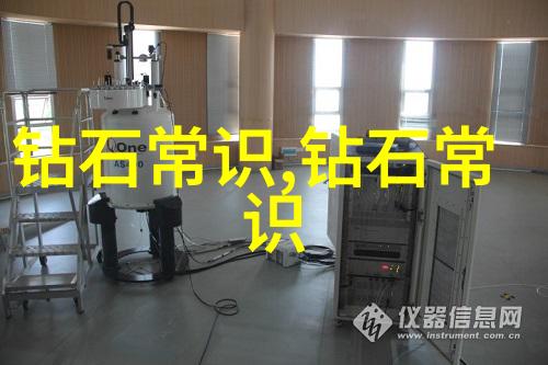 宠物美容师的艺术世界剪刀刷子与爱在一起