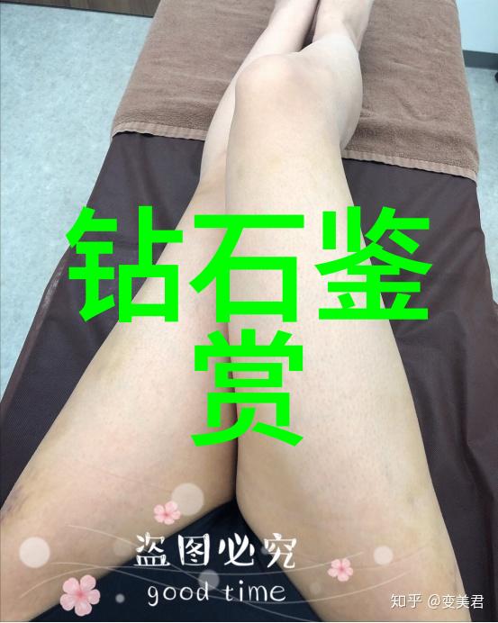 司法鉴定中心收费标准权威与公平的双刃剑
