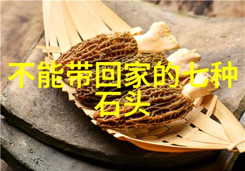 文化的丰富面纱探索传统与现代的交融之路