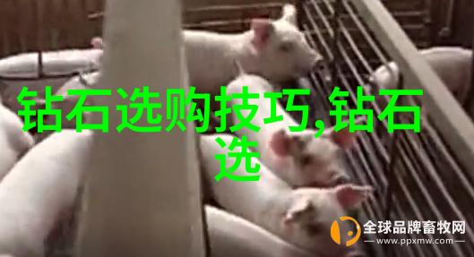 司法鉴定费用表解析权威机构的收费体系深度剖析