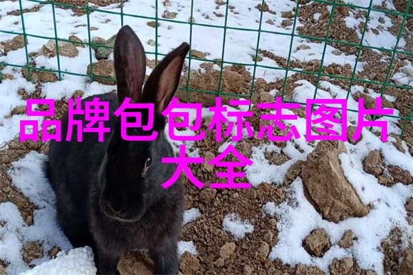 东陵玉的秘密避免陷入奢华的误区