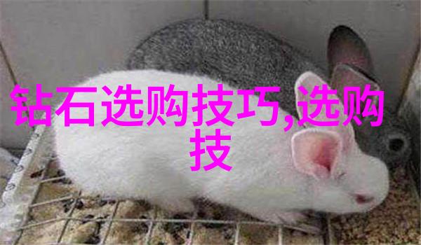 翡翠之谜揭秘真假的艺术品鉴定术