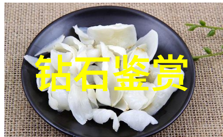 小说世界的迷人魅力