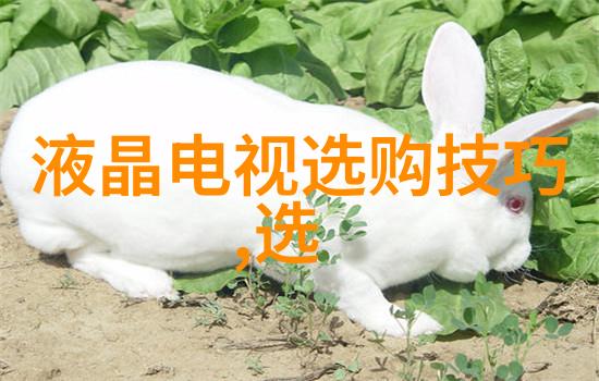 高效专业技能提升工作效率的关键技巧