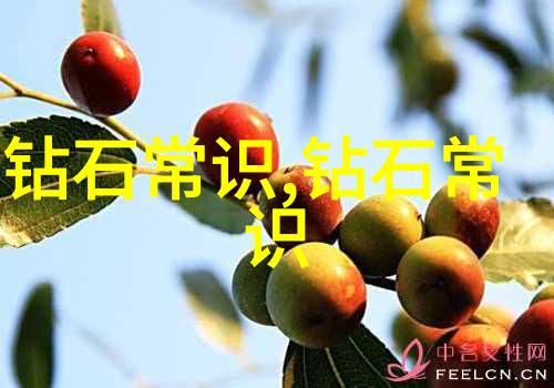 智慧启示寓言故事大全100篇中的哲理宝藏