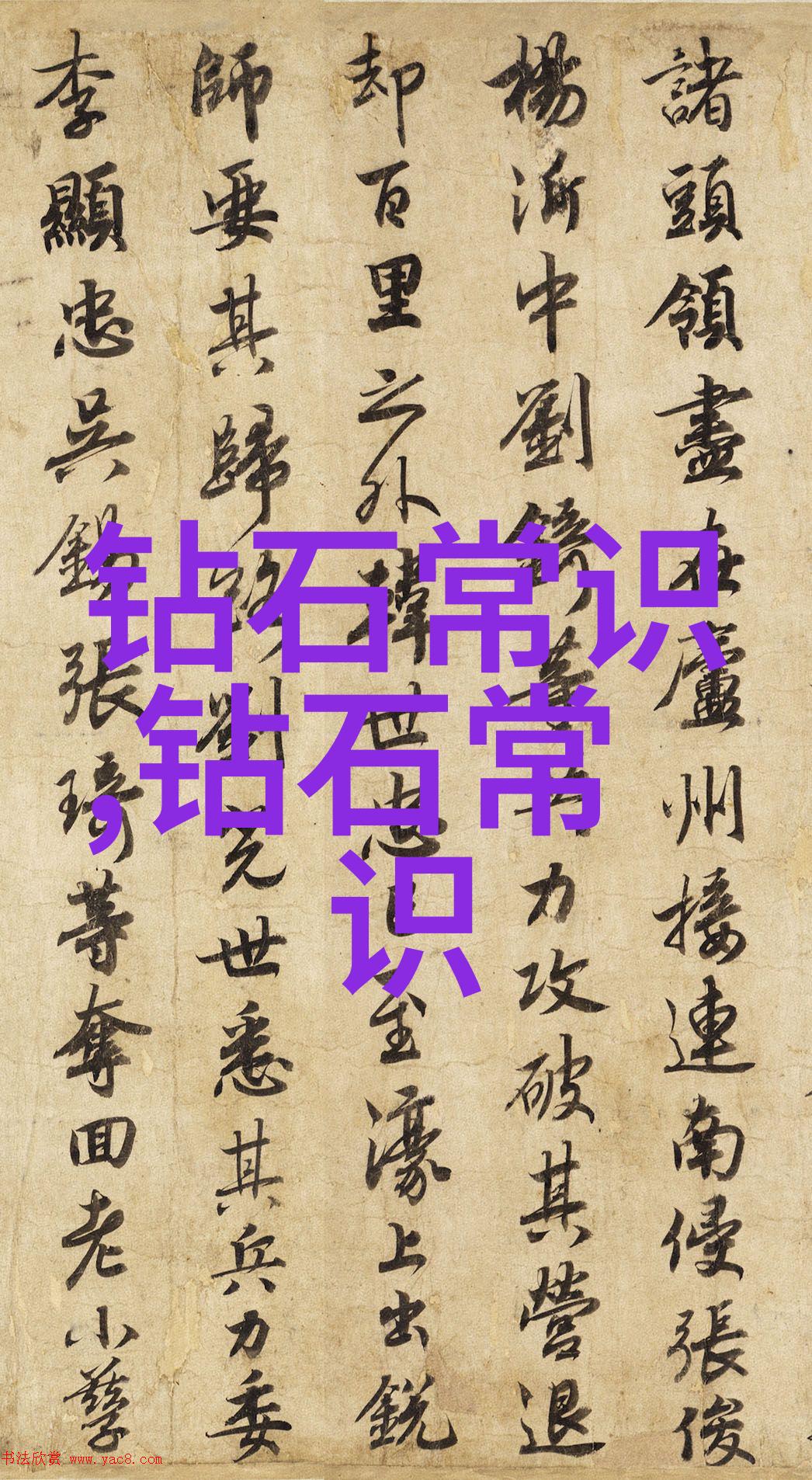 星辰下的猎影追逐光芒的星级猎人