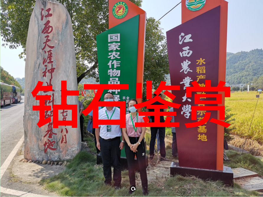 墨翠6000一1万元图片我眼中的奢华探秘这部手机背后的艺术与科技