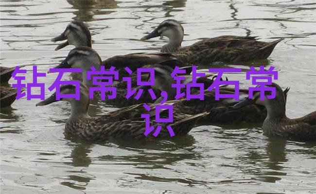 中华传统文化素材-探索中华古韵挖掘传统文化的宝藏