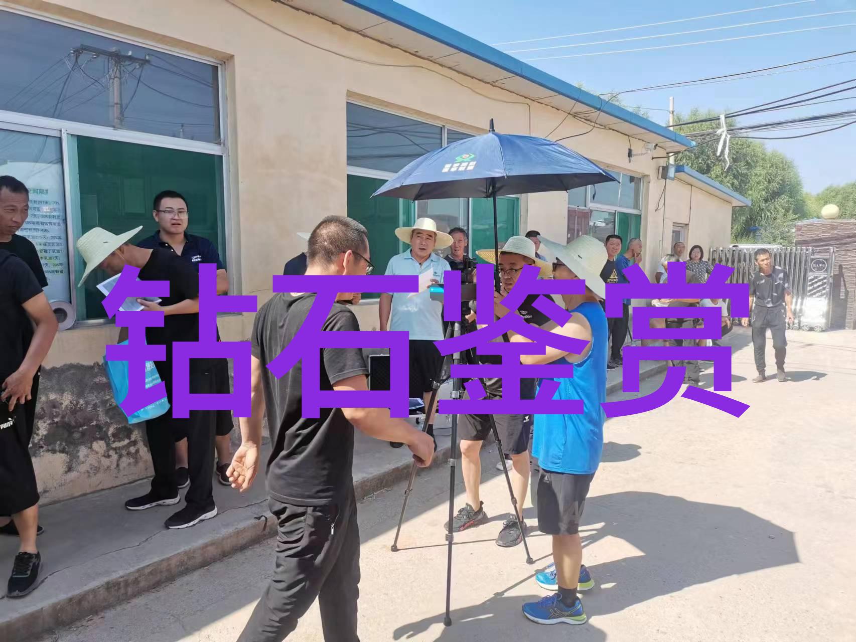 中西方文化差异课题研究报告探索我们之间的故事东方哲学与西方科技的对话