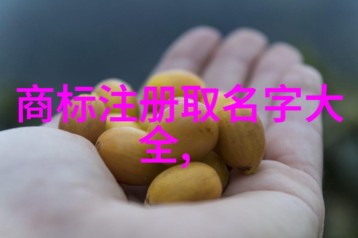 镜头指挥官幕后奏响生活的交响曲