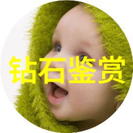 猪朋挖地窖三只小猪的宅基地