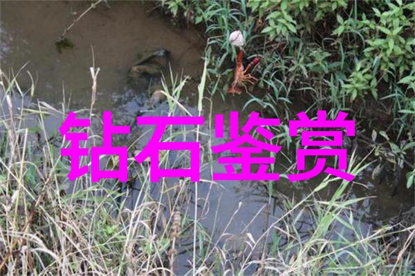 文藝創新的火炬在時代風潮中傳遞希望光芒