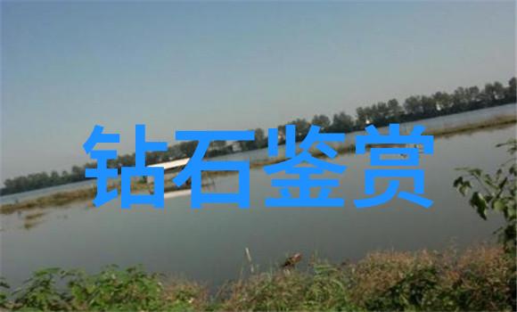 玉的秘密免费鉴定玉揭开宝石之谜