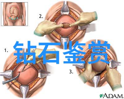 杨启穿梭滚滚红尘古风传奇的旅人