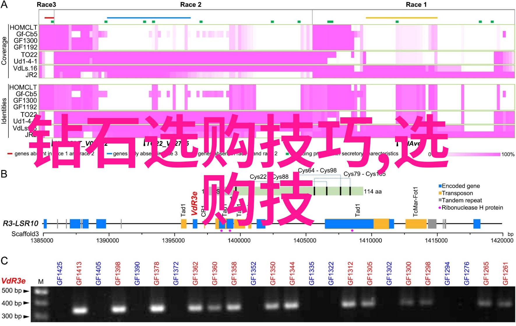 传统音乐与舞蹈的魅力中国文化常识大全书中的艺术瑰宝