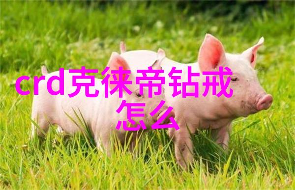 sao9999我是怎么遇到那个神秘的9999号的