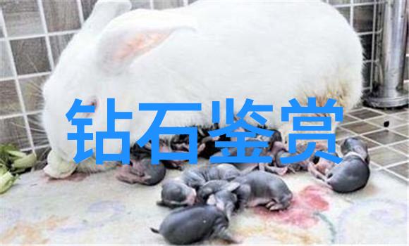 新时代背景下的工程造价教育创新
