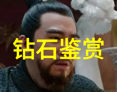 翡翠冰种选择探索水族世界中的绿宝石