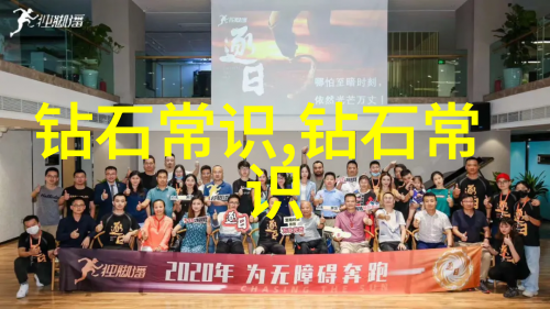 翡翠之谜揭秘冰种宝石的幽默鉴定大师