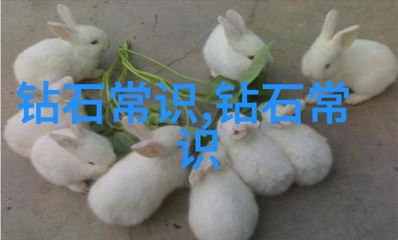 室内软装设计艺术色彩纹理与布局的完美融合
