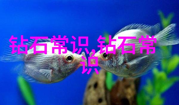 中国四大发明如何影响世界历史