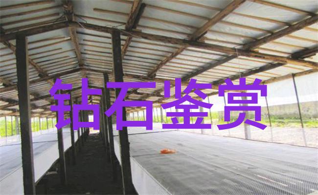 生产工艺是指什么揭秘制造品的精髓所在