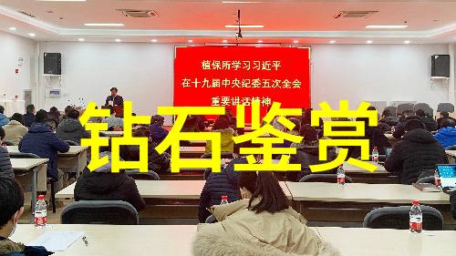 了解中国传统文化的重要性我为什么要懂得这门古老的艺术探索中国传统文化的魅力