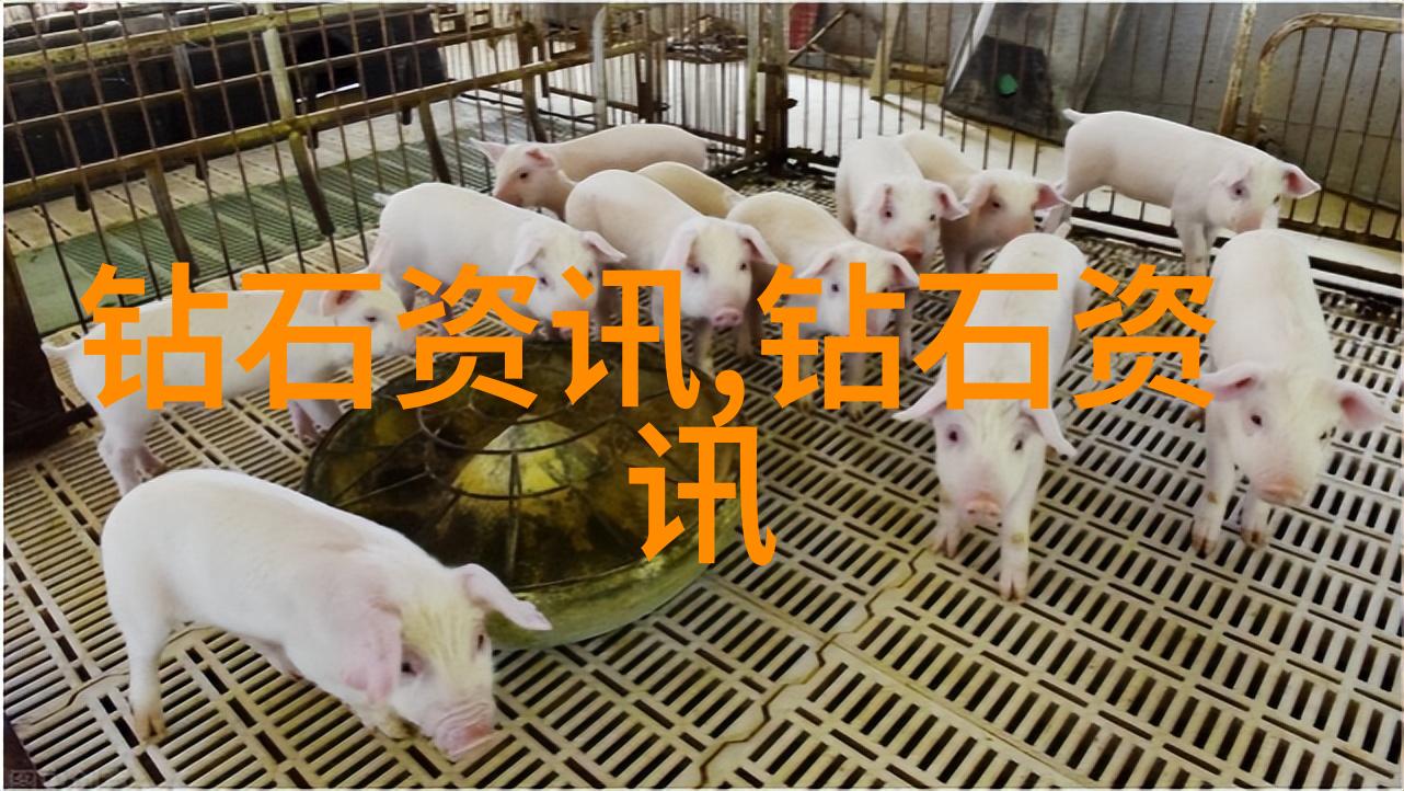 宝庆银楼-宝庆银楼历史的见证与艺术的殿堂