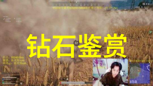 假翡翠在灯光下什么样你看了才知道它竟然这么闪耀
