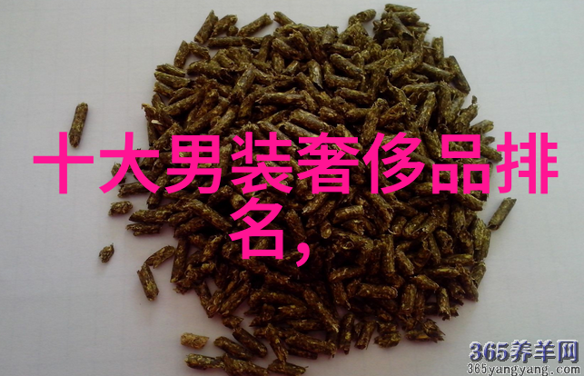 文明与文化的交响篇古今之音同韵异奏