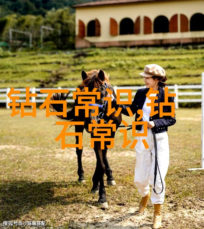 翡翠璀璨揭秘世界十大顶级翡翠的传奇与价值