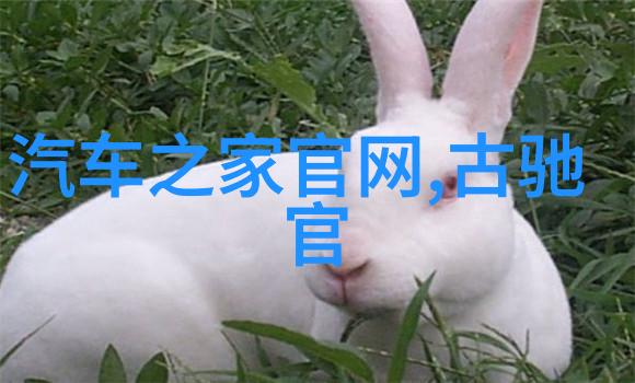 马未都涉足收藏何时不晚叶麟林皎雪故事自然漂泊免费阅读小说