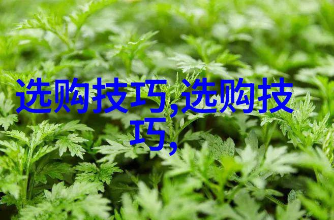 森林中的警钟狼的归来与孩子们的智慧