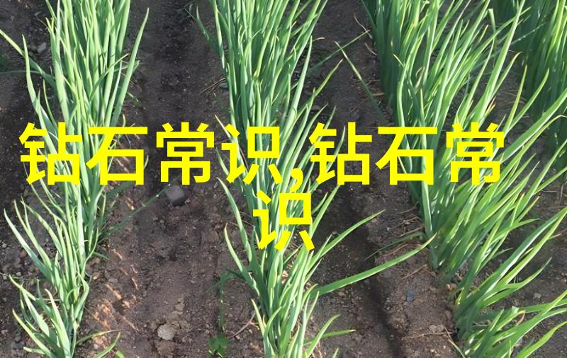 一般设计珠宝需要什么书我的宝石设计必备读物指南