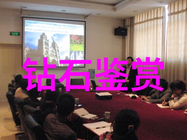 宝石知识深度探究了解各种宝石的特性和选购技巧