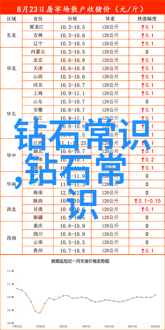 中华古韵绘卷中的文化智慧