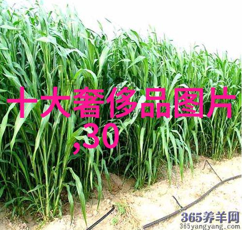 获得工程造价专业资格对职业生涯有什么重要影响