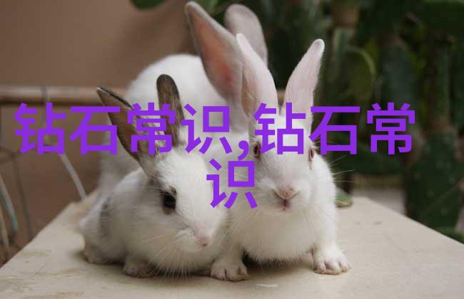如何有效管理家庭空间和减少杂乱程度