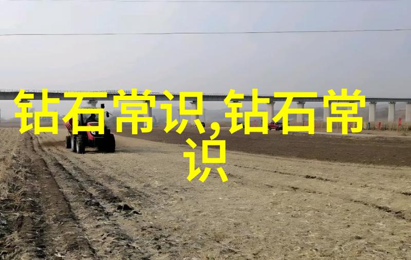 审计学概论从财务审计到内部控制的全方位探究