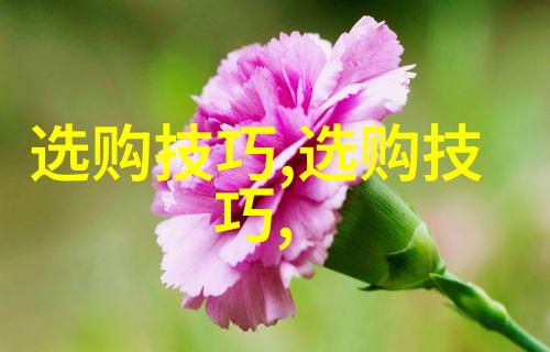 璀璨世界珍稀宝石的争宠之旅