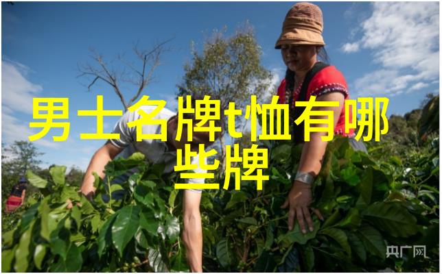 新兴行业在中国企业公司排行榜中的崛起原因是什么