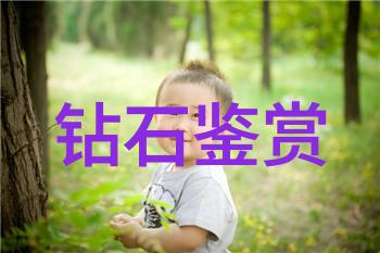 海底寻宝腿抬高一点就能吃到扇贝肉HD