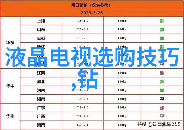 六年级孩子们的小说家梦笔下的世界大观